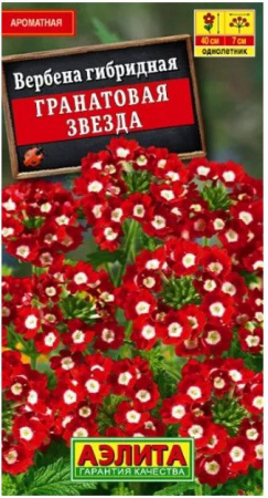 Вербена Гранатовая звезда 30шт (Аэлита) - КОЛОРЛОН ВТД Новосибирск