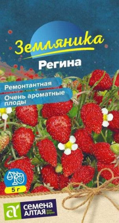 Ягода Земляника Регина ремонтантная/Сем Алт/цп 0,04 гр. - КОЛОРЛОН ВТД Новосибирск