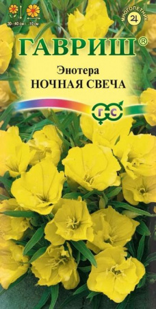 Энотера Ночная свеча миссур. 0.2гр (Гавриш) цв - КОЛОРЛОН ВТД Новосибирск