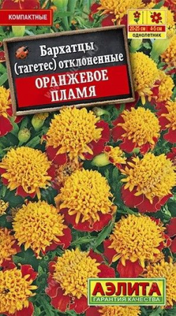 Бархатцы Оранжевое пламя 0.2г, низкорослые (Аэлита) - КОЛОРЛОН ВТД Новосибирск