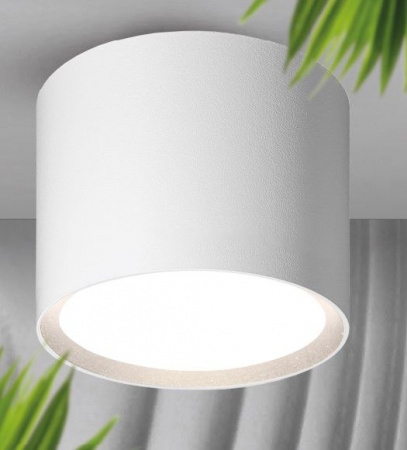 Накладной WOLTA WSL-GX53/01W IP20 белый D82x70 - КОЛОРЛОН ВТД Новосибирск