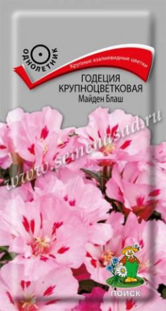Годеция Майден Бланш крупноцветковая 0.2г (Поиск) - КОЛОРЛОН ВТД Новосибирск