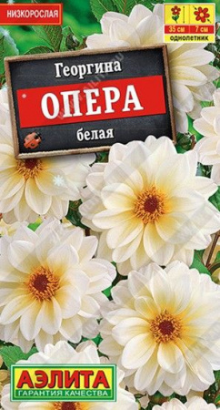 Георгина Опера Белая 7шт, низкорослая (Аэлита) - КОЛОРЛОН ВТД Новосибирск