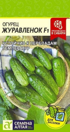 Огурец Журавленок F1/Сем Алт/цп 0,3 гр. - КОЛОРЛОН ВТД Новосибирск