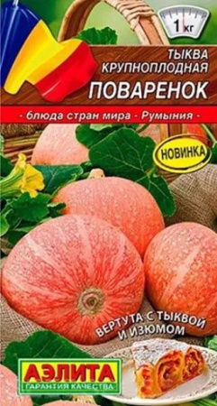 Тыква Поваренок 2г (Аэлита) цв - КОЛОРЛОН ВТД Новосибирск