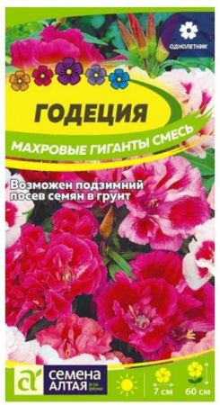 Годеция Махровые гиганты смесь/Сем Алт/цп 0,05 гр - КОЛОРЛОН ВТД Новосибирск