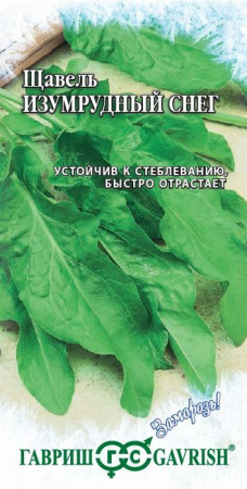 Щавель Изумрудный снег 1гр (Гавриш) (Заморозь) цв - КОЛОРЛОН ВТД Новосибирск