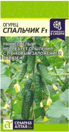 Огурец Спальчик F1/Сем Алт/цп 5 шт. - КОЛОРЛОН ВТД Новосибирск