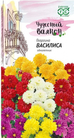 Георгина Василиса 0,3 г серия Чудесный балкон Н10 - КОЛОРЛОН ВТД Новосибирск