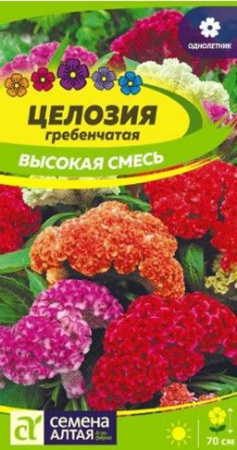 Целозия Высокая смесь гребенчатая/Сем Алт/цп 0,05 гр. - КОЛОРЛОН ВТД Новосибирск