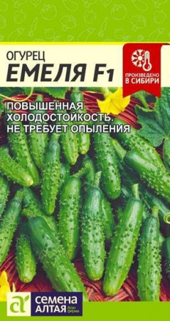 Огурец Емеля F1/Сем Алт/цп 5 шт. - КОЛОРЛОН ВТД Новосибирск