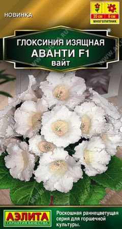 Глоксиния Аванти F1 Вайт 5шт (Аэлита) - КОЛОРЛОН ВТД Новосибирск