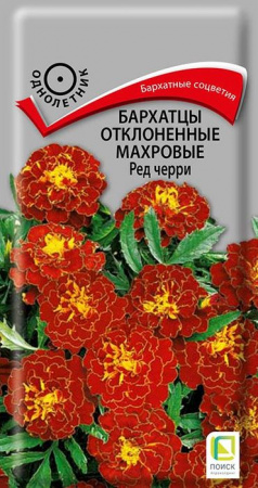 Бархатцы Ред черри откл махровые (Поиск) цв - КОЛОРЛОН ВТД Новосибирск