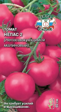 Томат Непасынкующийся Малиновый F1 0.1г (СеДеК) - КОЛОРЛОН ВТД Новосибирск