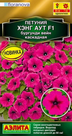 Петуния Хэнг аут F1 Бургунди вейн 4шт (Аэлита) - КОЛОРЛОН ВТД Новосибирск