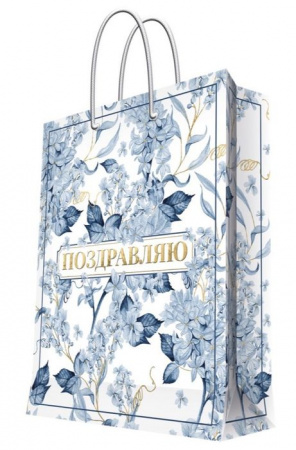 Бумажный пакет 17,8x22,9x9,8см арт.93857FE - КОЛОРЛОН ВТД Новосибирск