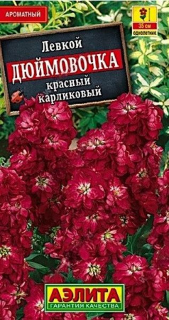 Левкой Дюймовочка красный 0.1г (Аэлита) - КОЛОРЛОН ВТД Новосибирск