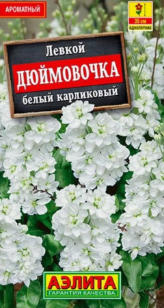 Левкой Дюймовочка белый 0. 1г (Аэлита) - КОЛОРЛОН ВТД Новосибирск