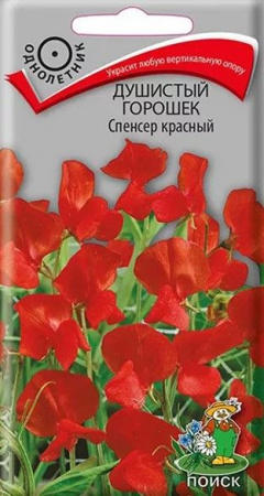 Горошек душистый Спенсер красный 1гр. (Поиск ) цв - КОЛОРЛОН ВТД Новосибирск
