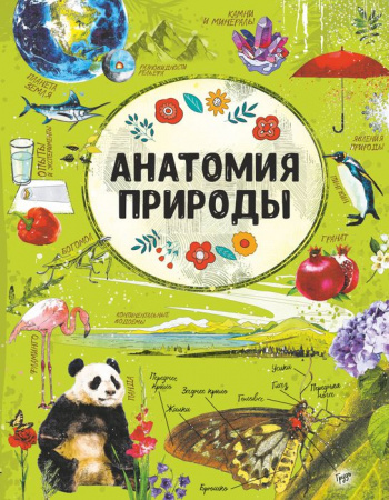 АнатомияВсего Анатомия природы Спектор А.А. - КОЛОРЛОН ВТД Новосибирск