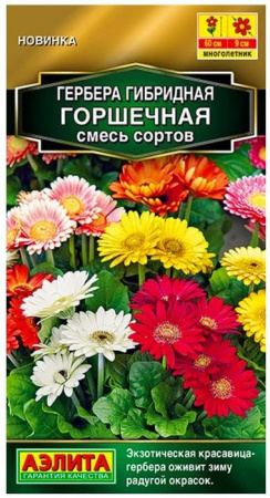 Гербера Горшечная 10шт, смесь сортов (Аэлита) - КОЛОРЛОН ВТД Новосибирск