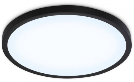 FZ1961 BK черный IP54 40W 5000K D470*15 (Без ПДУ) - КОЛОРЛОН ВТД Новосибирск