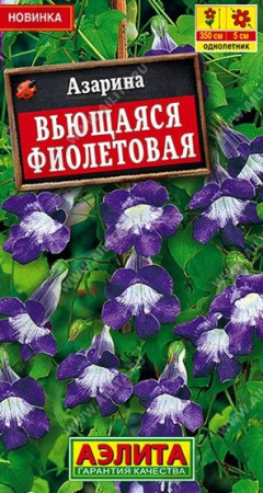 Азарина Фиолетовая 5шт, вьющаяся (Аэлита) - КОЛОРЛОН ВТД Новосибирск