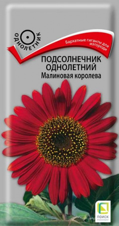 Подсолнечник Малиновая королева 0.5г (Поиск) цв - КОЛОРЛОН ВТД Новосибирск