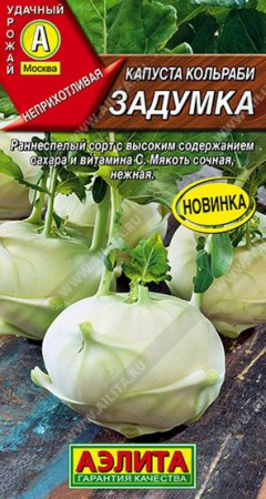 Капуста кольраби Задумка, раннеспелая 0.5г (Аэлита) - КОЛОРЛОН ВТД Новосибирск