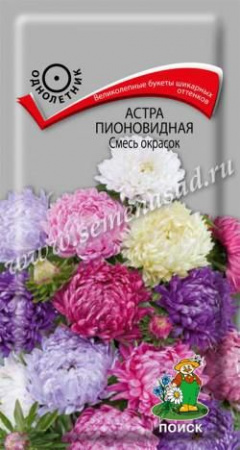 Астра Пионовидная 0.3г,  смесь окрасок (Поиск) - КОЛОРЛОН ВТД Новосибирск