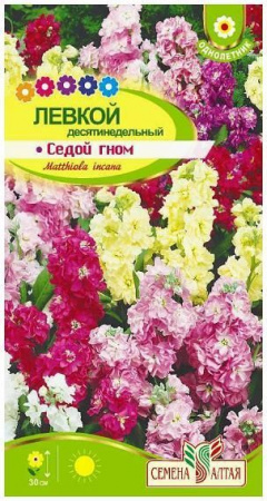 Цветы Левкой Десятинедельный гном седой/Сем Алт/цп 0,1 гр. - КОЛОРЛОН ВТД Новосибирск