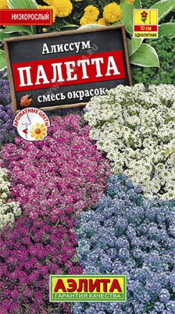 Алиссум Палетта (Аэлита) цв - КОЛОРЛОН ВТД Новосибирск