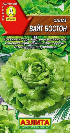 Салат Вайт Бостон 0.5г (Аэлита) - КОЛОРЛОН ВТД Новосибирск