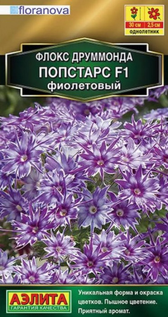 Флокс Попстарс F1 Фиолетовый 5шт, низкий (Аэлита) - КОЛОРЛОН ВТД Новосибирск