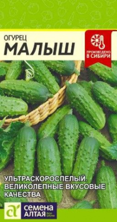 Огурец Малыш/Сем Алт/цп 0,3 гр. (2029 / 41027) - КОЛОРЛОН ВТД Новосибирск