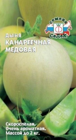 Дыня Канареечная Медовая (СеДеК) цв - КОЛОРЛОН ВТД Новосибирск