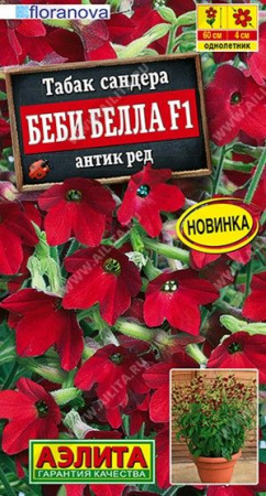 Табак душист. Беби Белла F1 Антик ред 7шт (Аэлита) - КОЛОРЛОН ВТД Новосибирск
