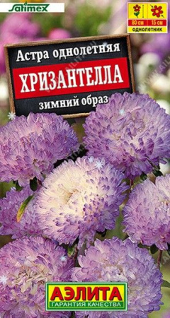 Астра Хризантелла Зимний образ 15шт (Аэлита) - КОЛОРЛОН ВТД Новосибирск