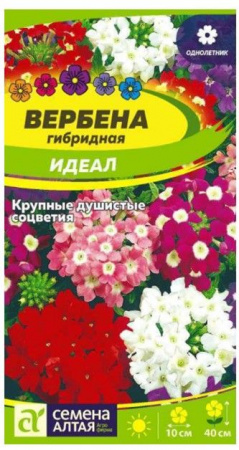 Вербена Идеал гибридная/Сем Алт/цп 0,05 гр. - КОЛОРЛОН ВТД Новосибирск