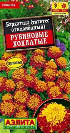 Бархатцы Рубиновые хохлатые 0.3г (Аэлита) - КОЛОРЛОН ВТД Новосибирск