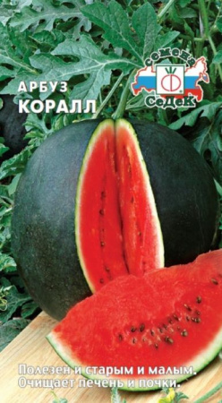 Арбуз Коралл (СеДеК) цв - КОЛОРЛОН ВТД Новосибирск