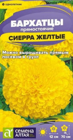 Бархатцы Сиерра Желтые/Сем Алт/цп 0,2 гр. - КОЛОРЛОН ВТД Новосибирск