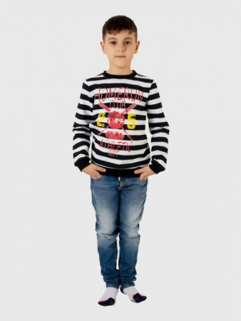 TS1329 Фуфайка для мальчика длин.рукав 5-8 лет - КОЛОРЛОН ВТД Новосибирск