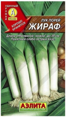 Лук порей Жираф 0.5г (Аэлита) цв - КОЛОРЛОН ВТД Новосибирск