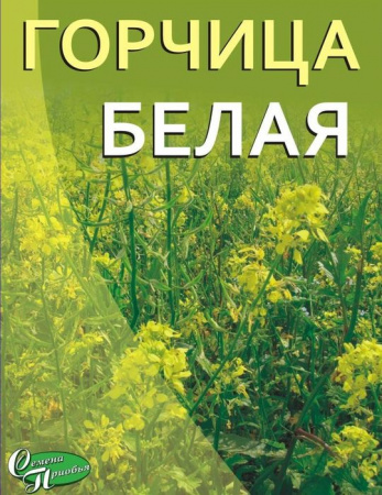 Горчица белая рядовая, коробка 200 гр (уп.24шт) СП - КОЛОРЛОН ВТД Новосибирск