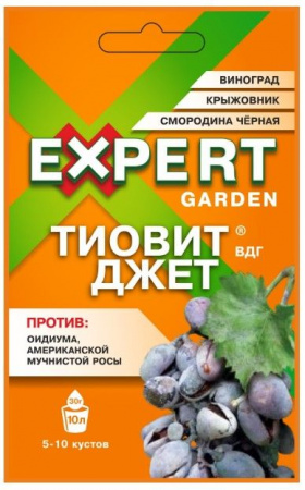 Фунгицид Тиовит-Джет ВДГ  30гр (30/120) Expert Garden - КОЛОРЛОН ВТД Новосибирск