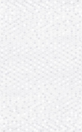 Кафель 25х40 ЛЕЙЛА светлый верх 01 (Unitile)  кор. - 14 шт. - КОЛОРЛОН ВТД Новосибирск