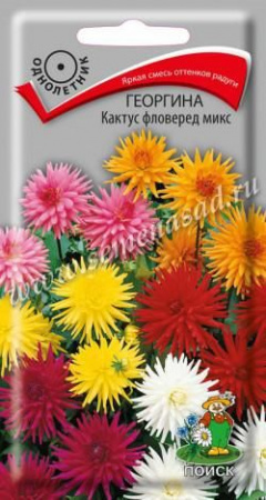 Георгина Кактус фловеред микс 0.2гр (Поиск) цв - КОЛОРЛОН ВТД Новосибирск
