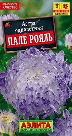 Астра Пале-рояль (Аэлита) цв - КОЛОРЛОН ВТД Новосибирск