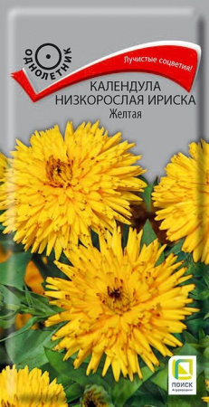 Календула Ириска Желтая 10шт, низкорослая (Поиск) - КОЛОРЛОН ВТД Новосибирск